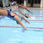 Delfines Actualizaron sus Tiempos