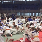 Judokas Marcos Marte y Antonio Tornal participaron en la Copa Abierta de Judo de Budapest