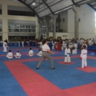ANPAKARATE Anuncia sus Elecciones para el 17 de Enero