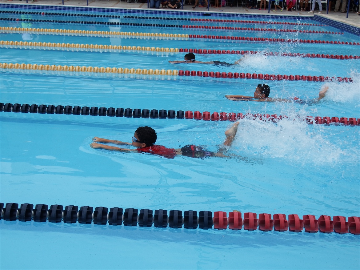 Escuela de los Delfines Realizó Primer Evento Competitivo-Recreativo