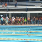 Nadadores Escuelita de los Delfines Siguen Progresando