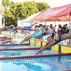 Delfines Confiados Tendrán Buena Actuación en Evento Internacional